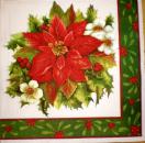 019 Christmas Flowers (19)